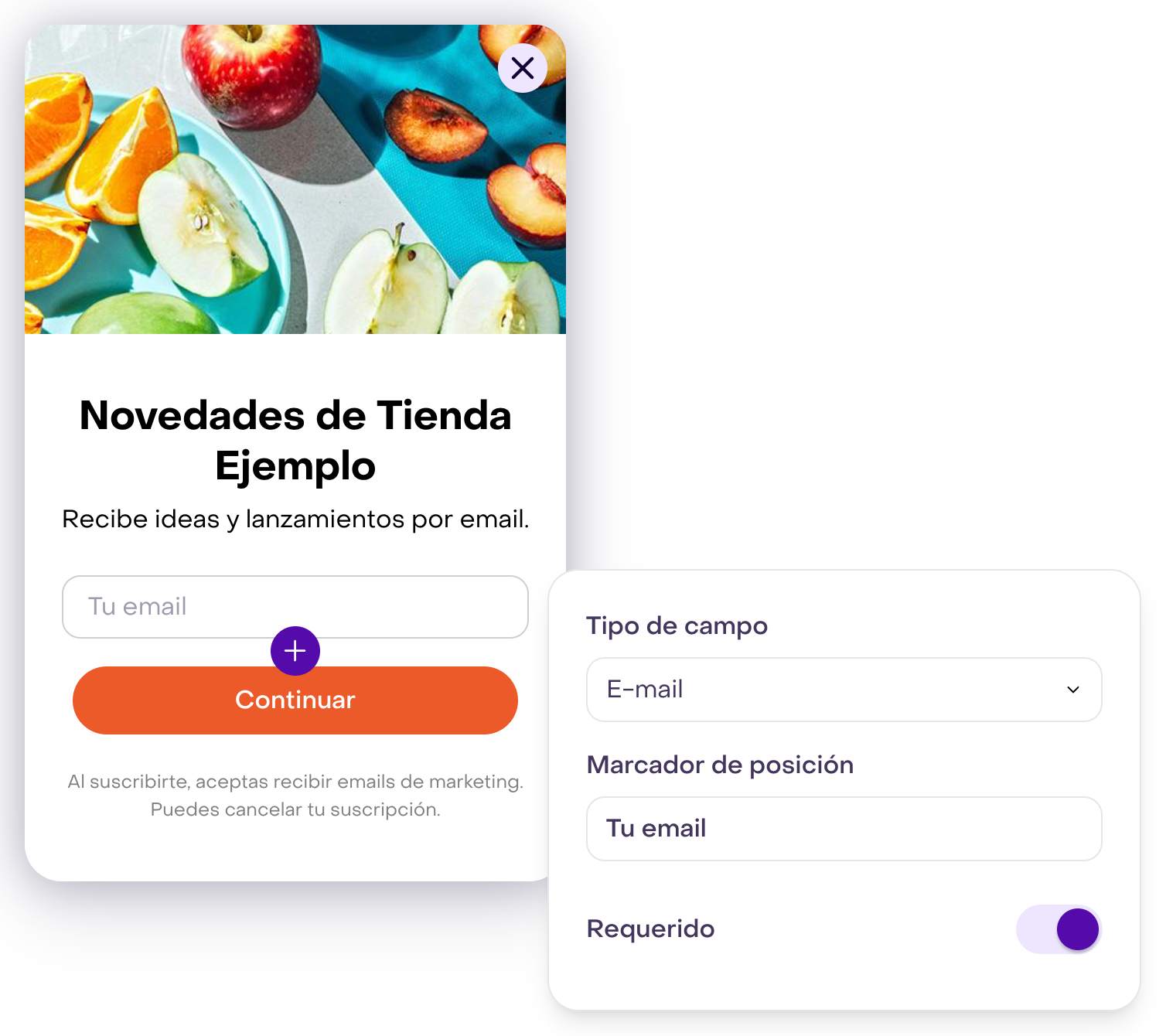Controles de tipo de campo, marcador y email requerido; en pantallas amplias también se muestra el popup ficticio con imagen de cabecera.